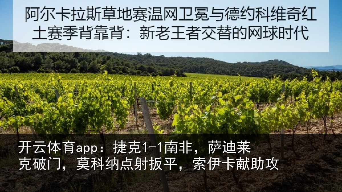 开云体育app：捷克相关情况，莫科相关情况献助攻