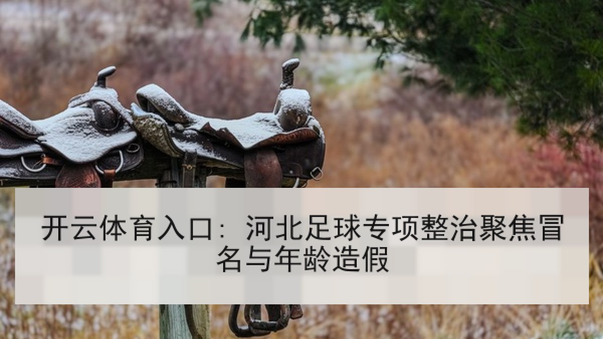 开云体育入口: 河北足球专项整治聚焦冒名与年龄造假