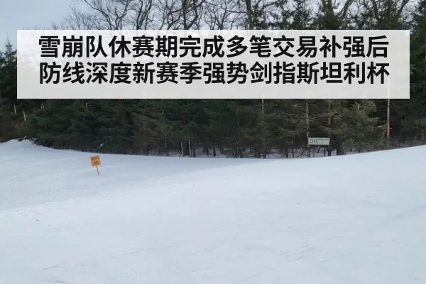 雪崩队休赛期完成多笔交易补强后防线深度新赛季强势剑指斯坦利杯