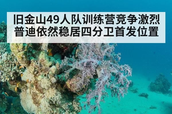 旧金山49人队训练营竞争激烈普迪依然稳居四分卫首发位置