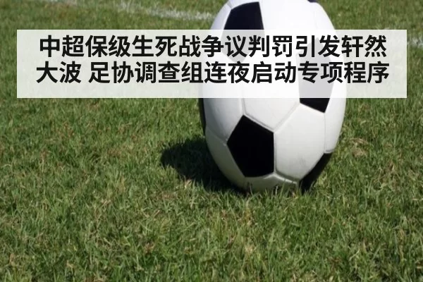 中超保级生死战争议判罚引发轩然大波 足协调查组连夜启动专项程序